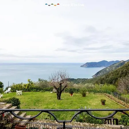 Διαμέρισμα The Place